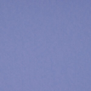 Bristol Board Violet 57x73