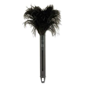 Board Walk Feather Duster