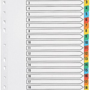 Q Connect Indexes 1-20 Multicolour A4