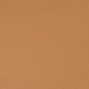 Bristol Board Rust 45 x 64